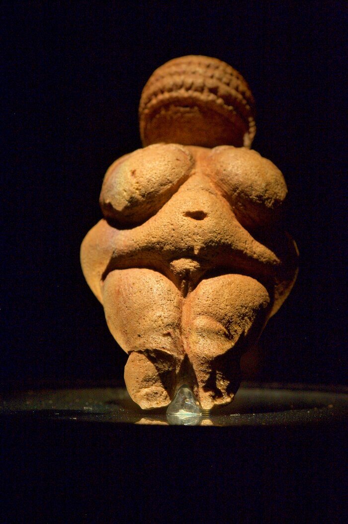Préhistoire de l'art autrichien. Les cent visages de la Vénus de Willendorf