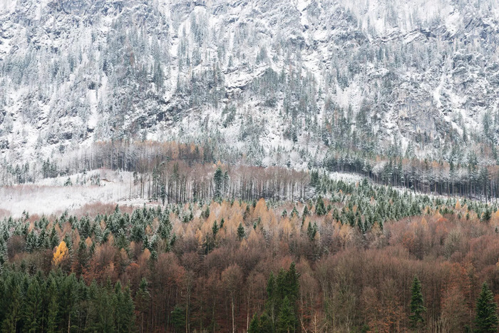 Yvonne Oswald – Topographies de l’Éphémère