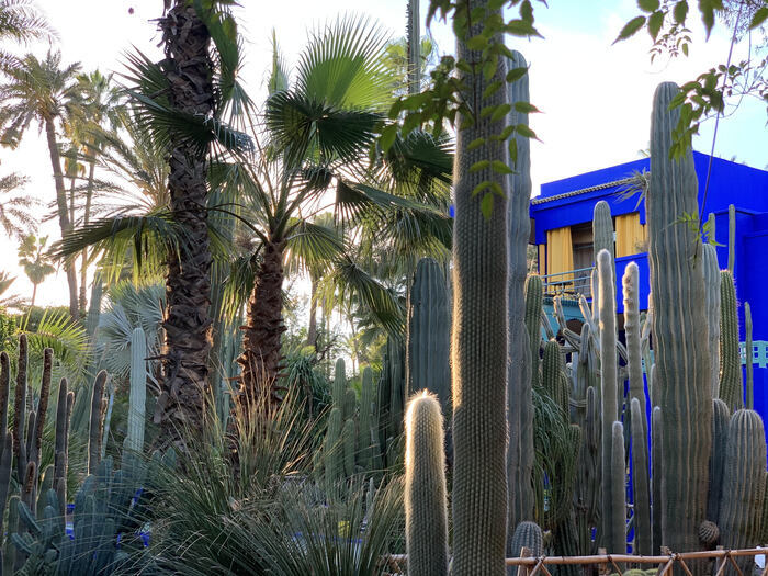 Le jardin Majorelle