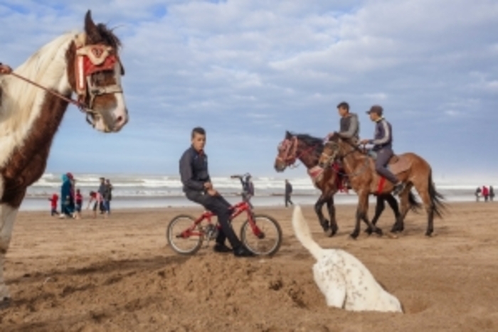 Yoriyas – Casablanca not the movie