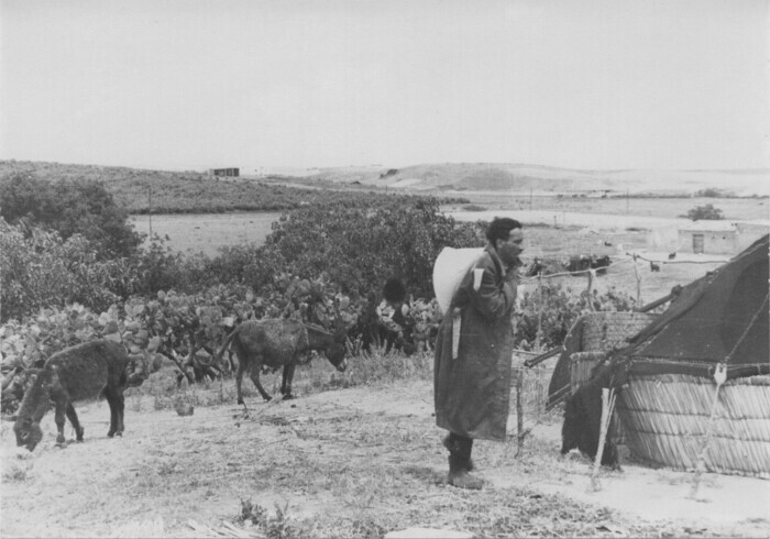 Le Mirage (As-Sarab)