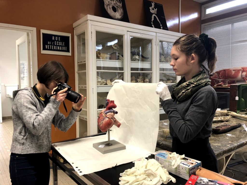 Le Master Expographie Muséographie : une formation en apprentissage et en pédagogie active au service du milieu professionnel