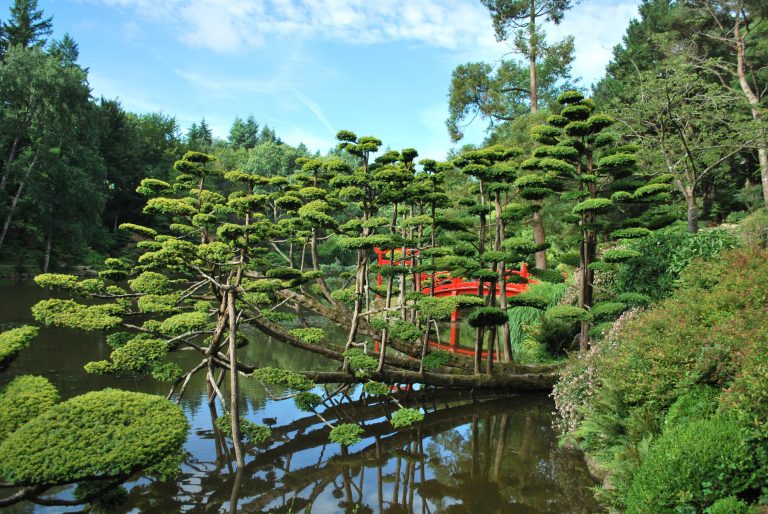 Comment protéger les jardins japonisants en France ?
