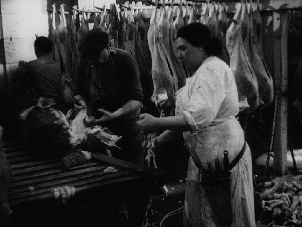 Le Sang des bêtes de Georges Franju