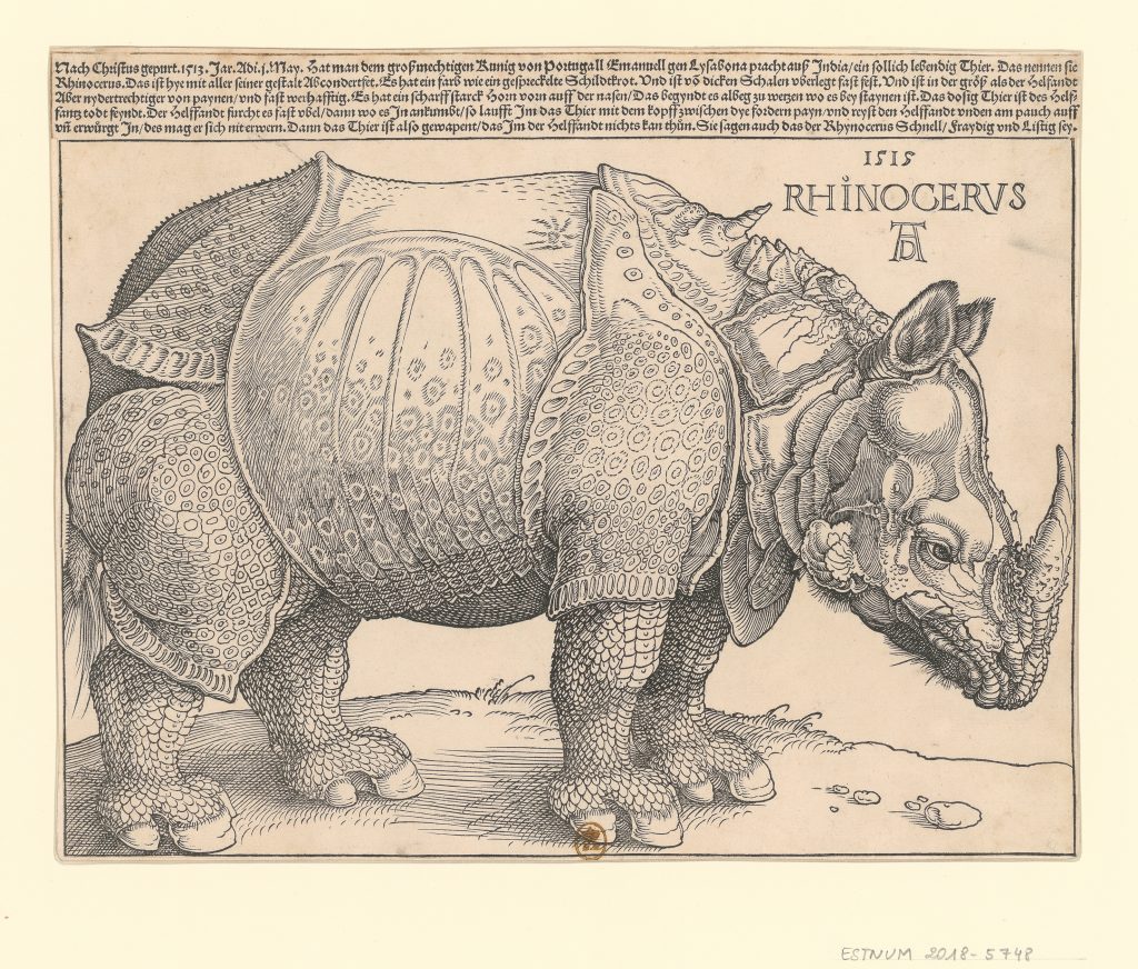 Duel exotique : l’éléphant et le rhinocéros dans les arts - XVIe-XVIIIe siècles