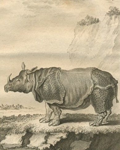 Les représentations d’animaux d’après Oudry dans l’Histoire naturelle de Buffon