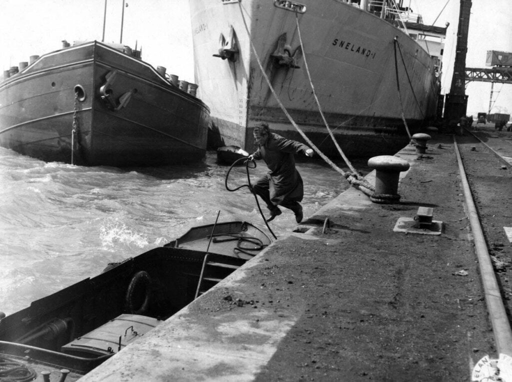 Les mouettes meurent au port