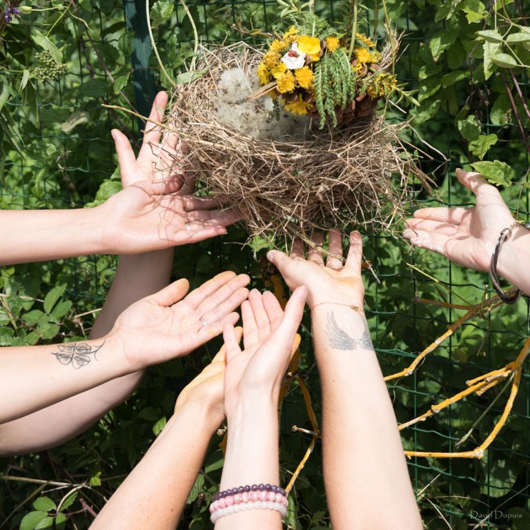 Atelier Land Art