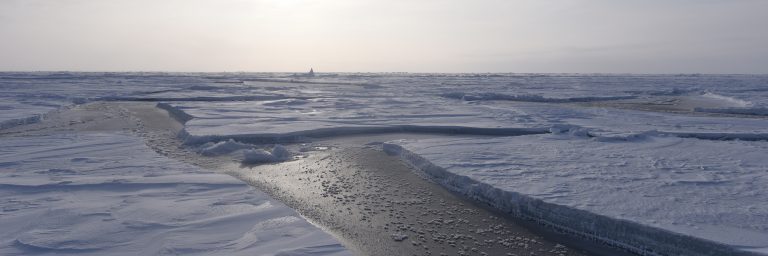 Les émotions du changement climatique