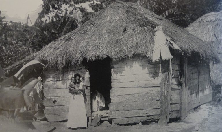 Inventer le bohío moderne/colonial : architecture et écologie dans les Caraïbes