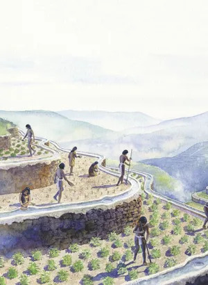 Le traitement de l’eau à l’époque précolombienne